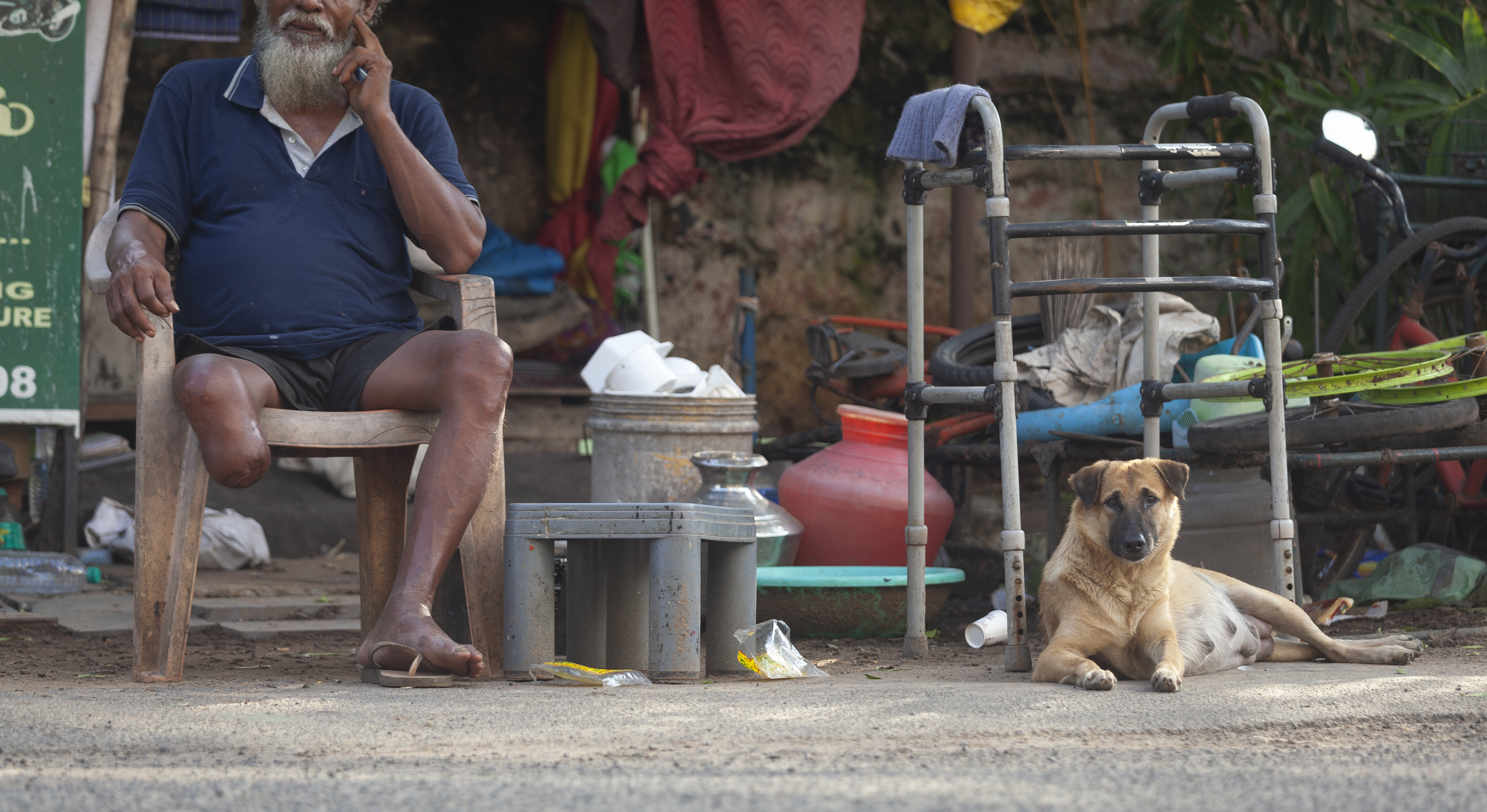 Street dogs in India © Eshita Prasanna/Tailshots